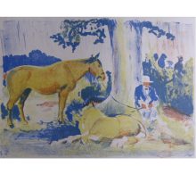 Reeve, Russell Sidney: Gaucho