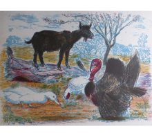 Reeve, Russell Sidney: Goat and Turkey