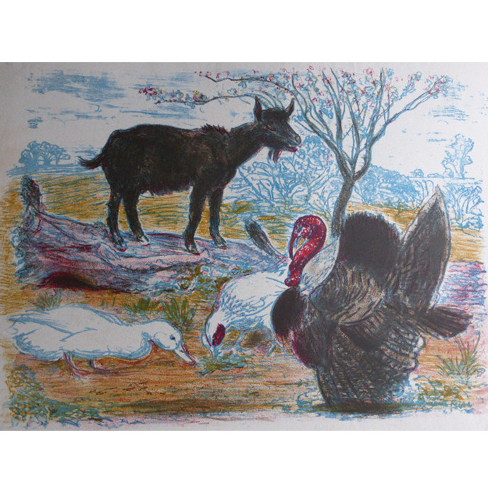 Reeve, Russell Sidney: Goat and Turkey
