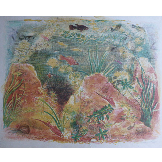 Reeve, Russell Sidney: the Rock Pool