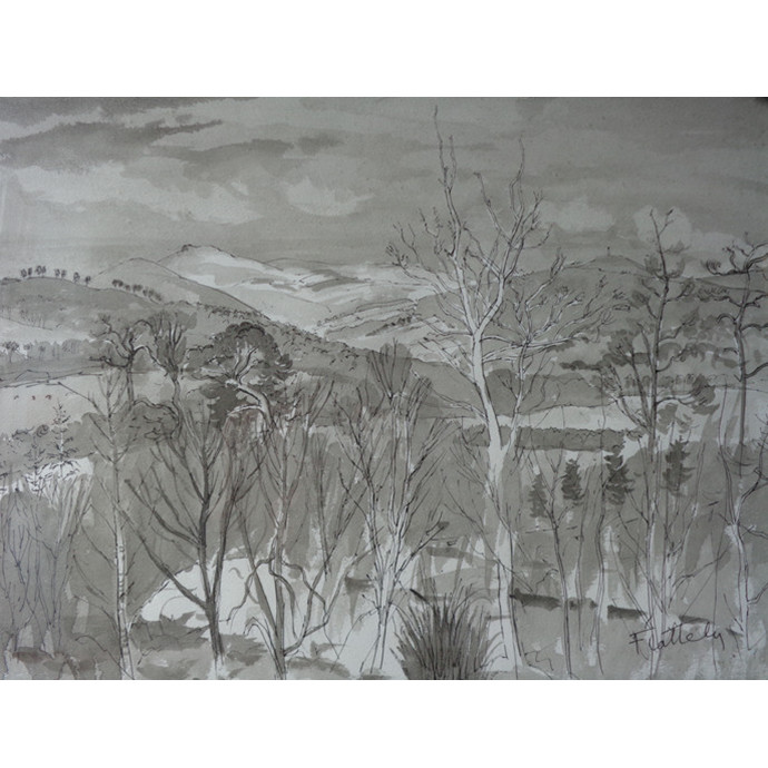 Flattely, Alastair: Winter Trees at Crathes - SOLD