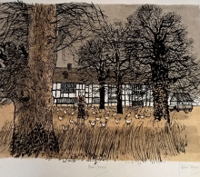 Tavener, Robert: Winter Paddock