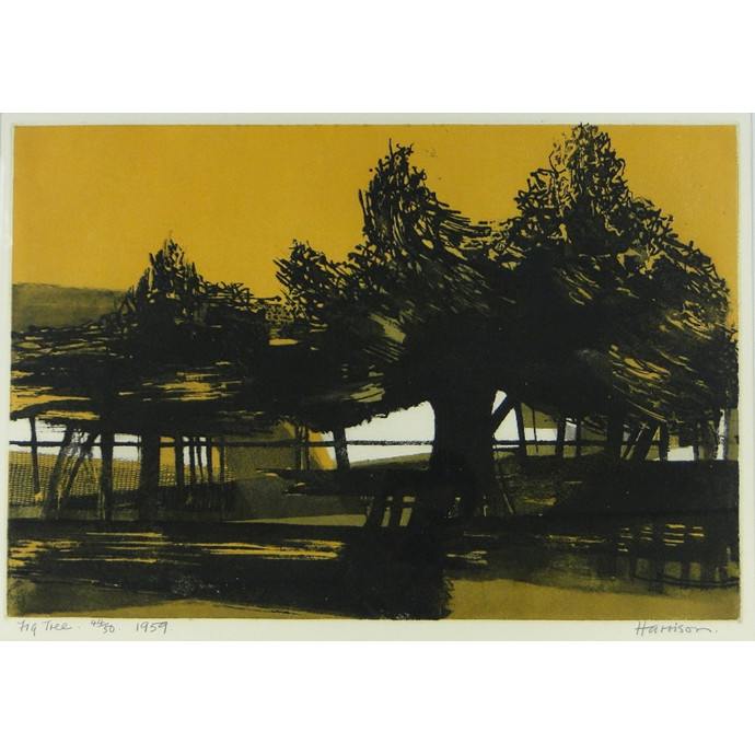 Harrison, Anthony: Fig Tree - SOLD