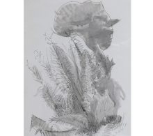 Coxon, Raymond: Fern Leaves and Bracken