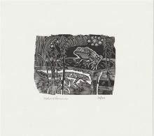 O'Connor, John: Frog and Newt